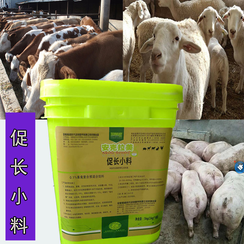 极速时代安克拉美促长剂促长小料催肥王猪牛羊小料增重饲料添加剂